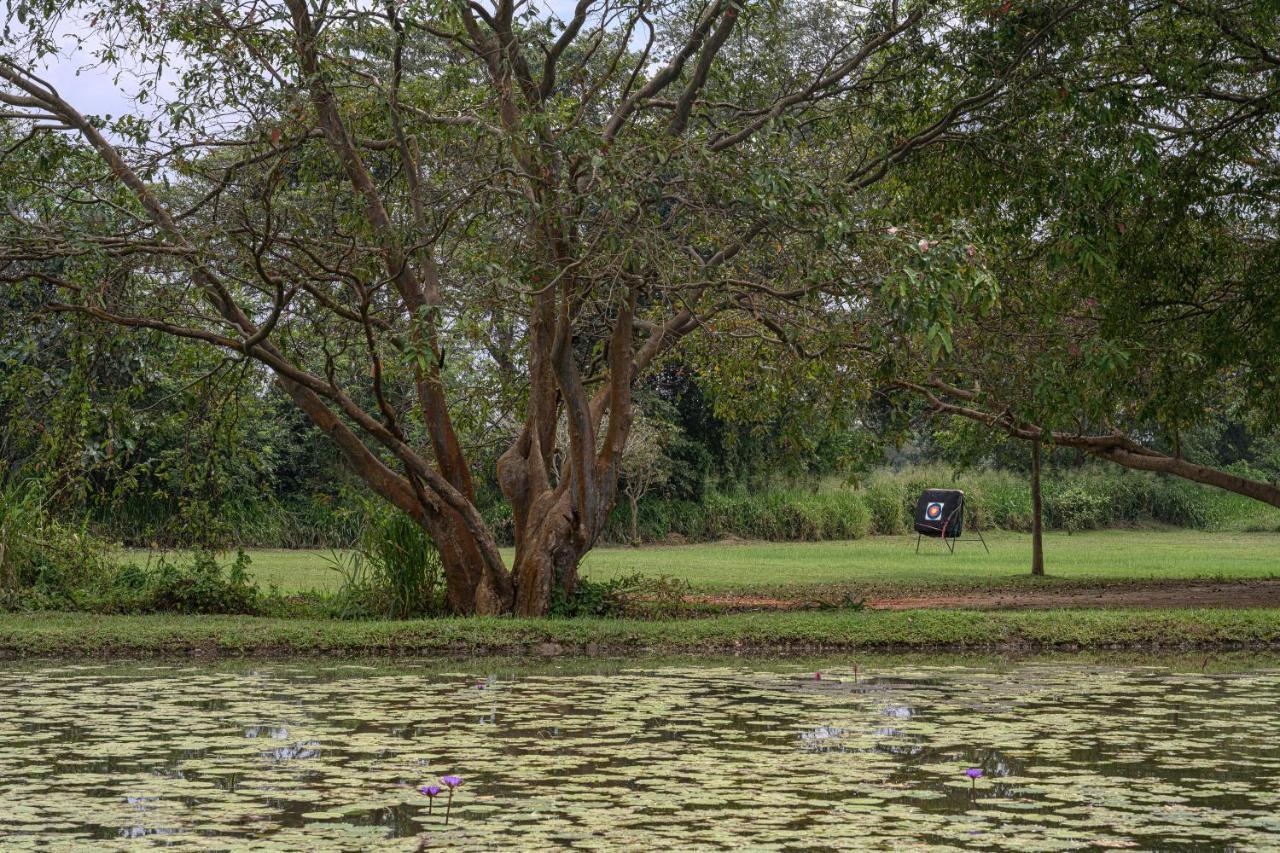 Hotel Water Garden Sigiriya Exterior foto