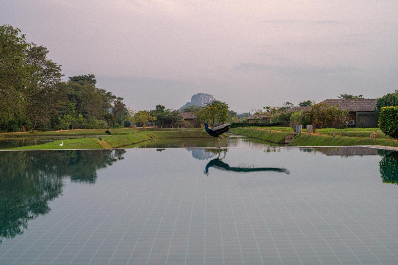 Hotel Water Garden Sigiriya Exterior foto